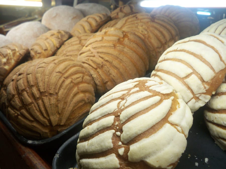 Conchas