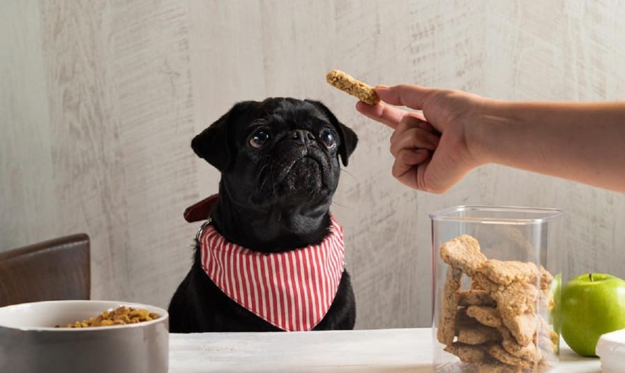 Galletas para Perro