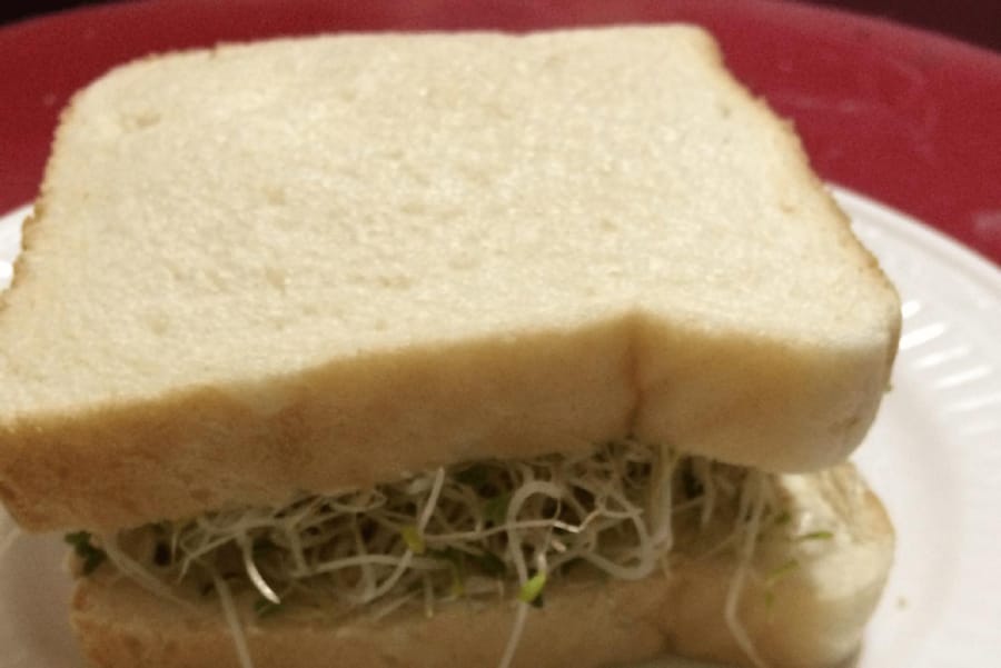 Sándwich de Germinados